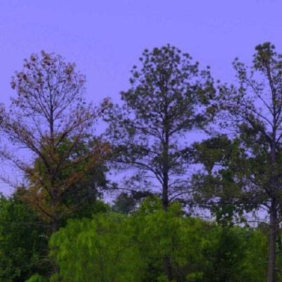 AG官方平台下载地址app下载